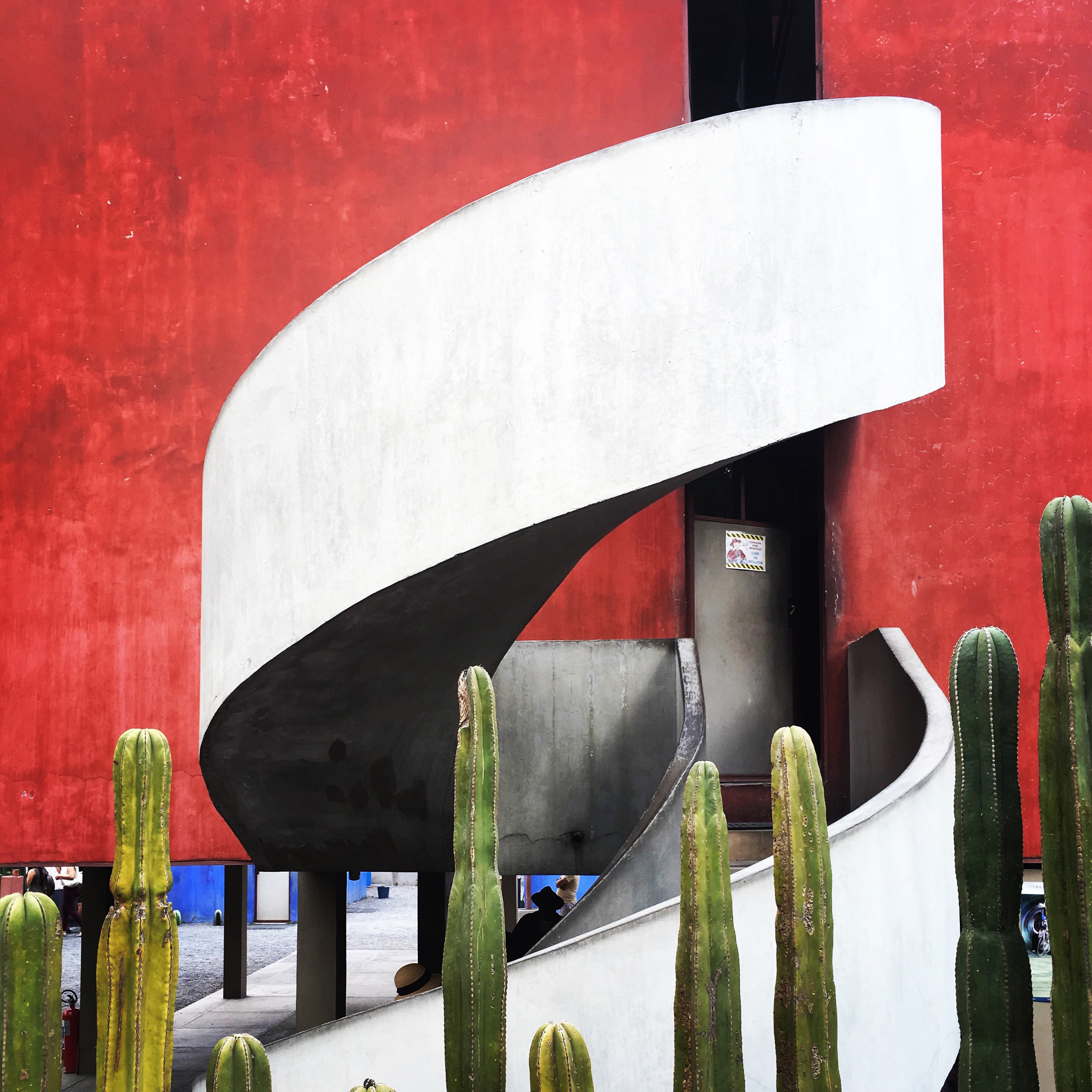 photograph by Miruna Mazilu, featuring staircase to Frida Kahlo's studio and Diego Rivera. Cactus in foreground, red wall in background.